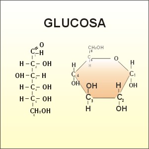 aglucosa