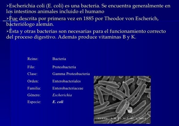 resmen-de-bacterias-de-importancia-medica-66-728