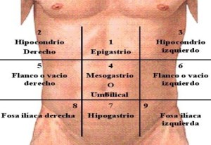 examen-fisico-del-abdomen