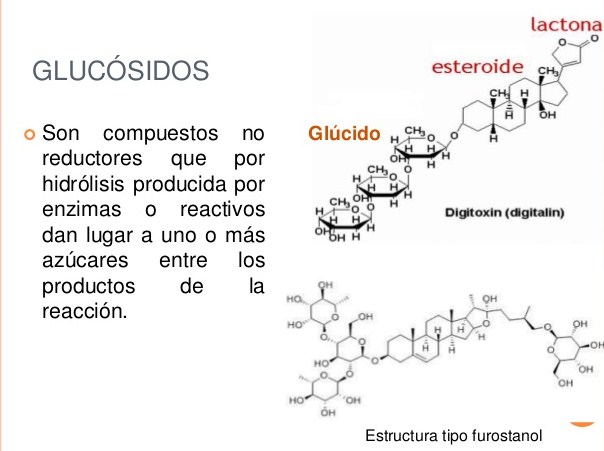 glucosidos.jpg