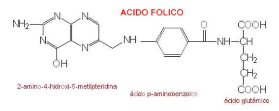 VitaminaB9_AcFolico