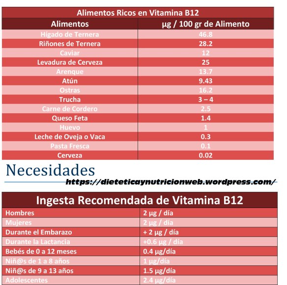 Fuentes_Necesidades_VB12