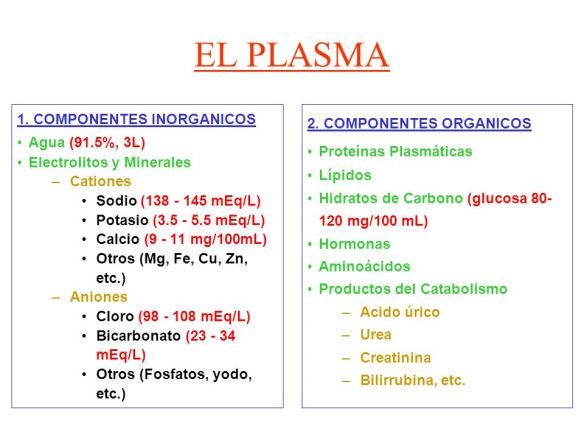 EL+PLASMA+1.+COMPONENTES+INORGANICOS+Agua+(91.5%,+3L).jpg